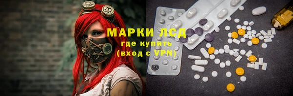 ПСИЛОЦИБИНОВЫЕ ГРИБЫ Аркадак
