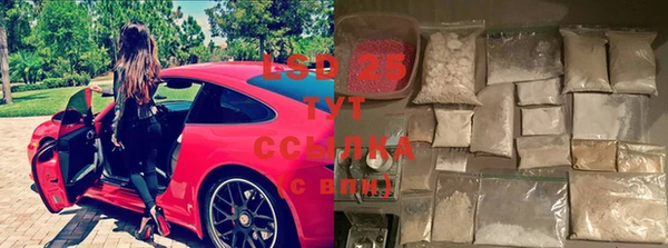ПСИЛОЦИБИНОВЫЕ ГРИБЫ Аркадак