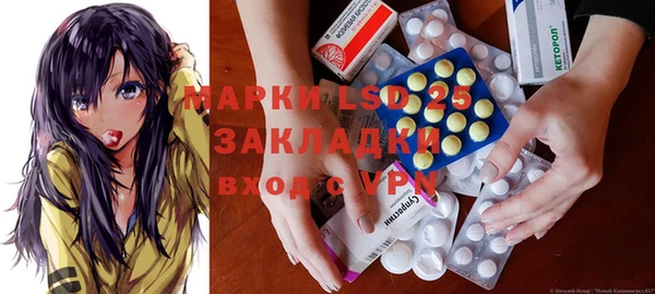 ПСИЛОЦИБИНОВЫЕ ГРИБЫ Аркадак